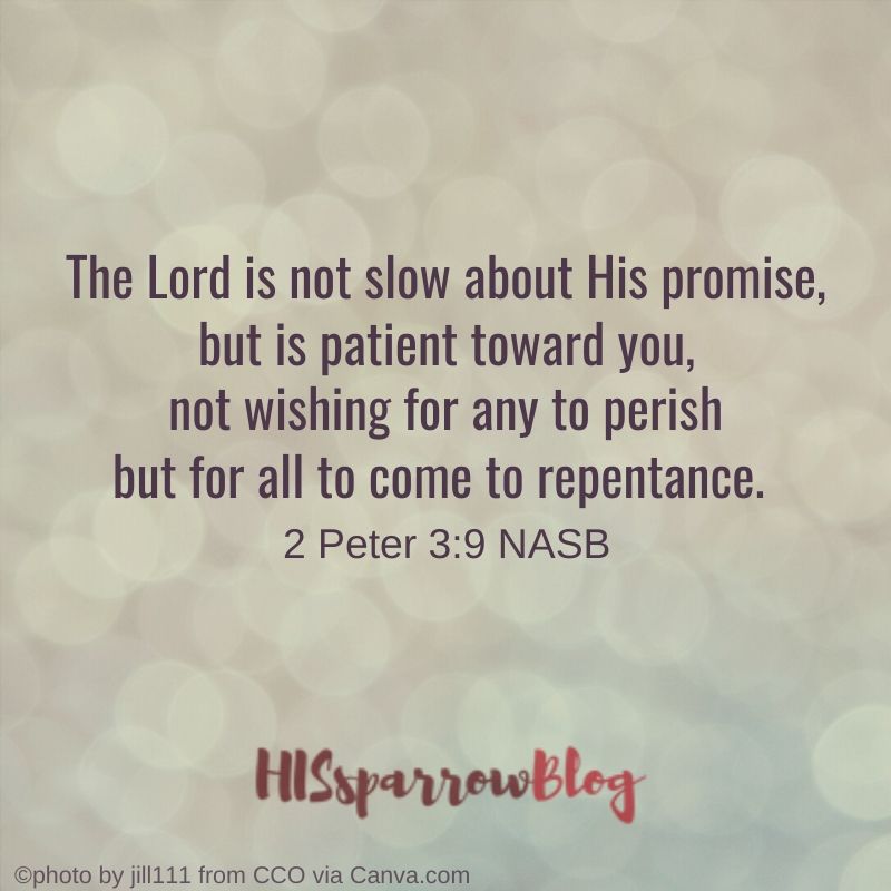 The Lord is not slow about His promise, but is patient toward you, not wishing for any to perish but for all to come to repentance. 2 Peter 3:9 NASB