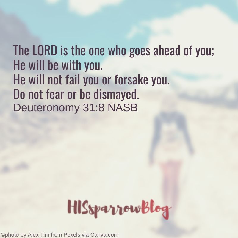 The LORD is the one who goes ahead of you; He will be with you. He will not fail you or forsake you. Do not fear or be dismayed. Deuteronomy 31:8 NASB | HISsparrowBlog