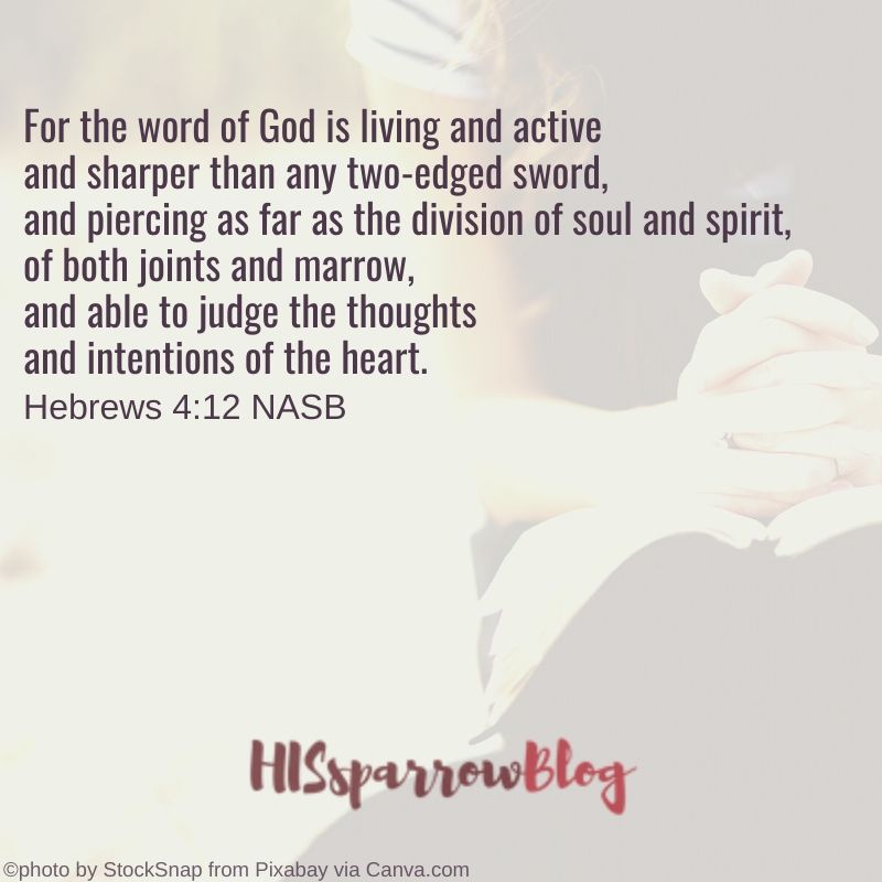 For the word of God is living and active and sharper than any two-edged sword, and piercing as far as the division of soul and spirit, of both joints and marrow, and able to judge the thoughts and intentions of the heart. Hebrews 4:12 NASB | HISsparrowBlog