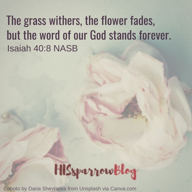 The grass withers, the flower fades, but the word of our God stands forever. Isaiah 40:8 NASB