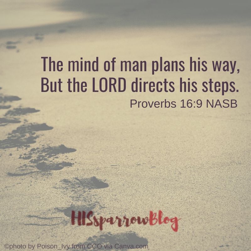 The mind of man plans his way, But the LORD directs his steps. Proverbs 16:9 NASB | HISsparrowBlog