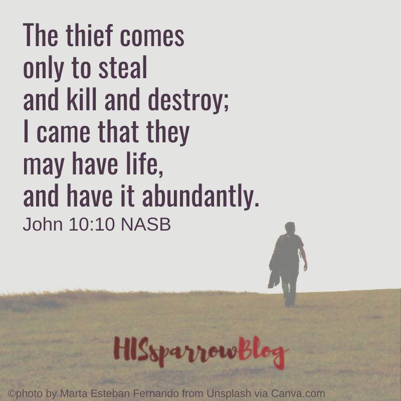 The thief comes only to steal and kill and destroy; I came that they may have life, and have it abundantly. John 10:10 NASB