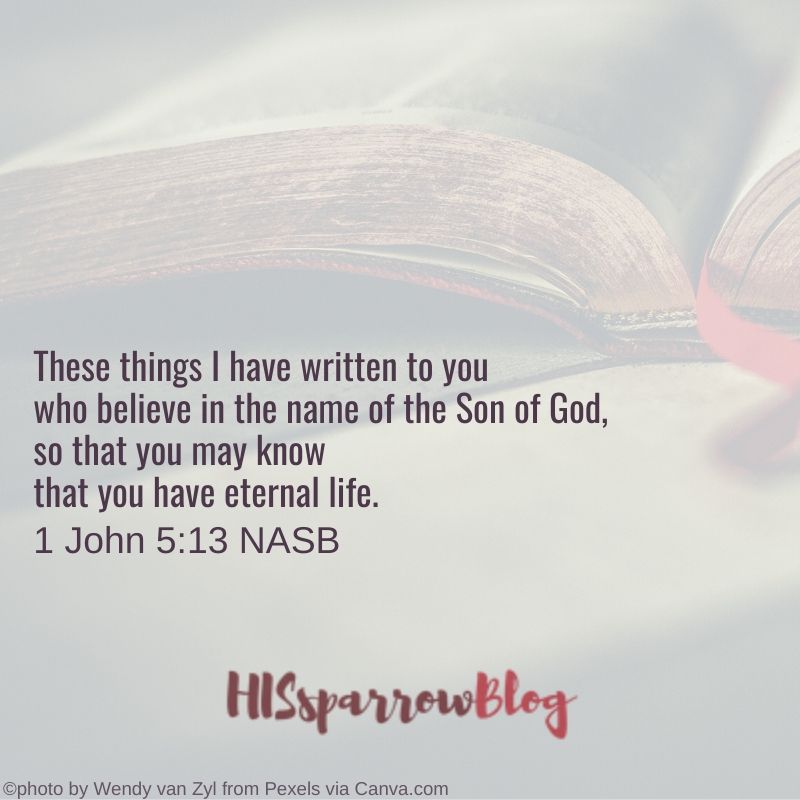 These things I have written to you who believe in the name of the Son of God, so that you may know that you have eternal life. 1 John 5:13 NASB | HISsparrowBlog | christian living