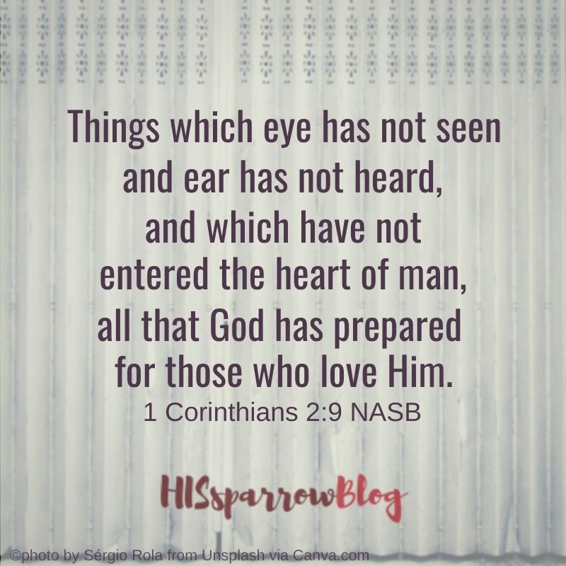 Things which eye has not seen and ear has not heard, and which have not entered the heart of man, all that God has prepared for those who love Him. 1 Corinthians 2:9 NASB | HISsparrowBlog 