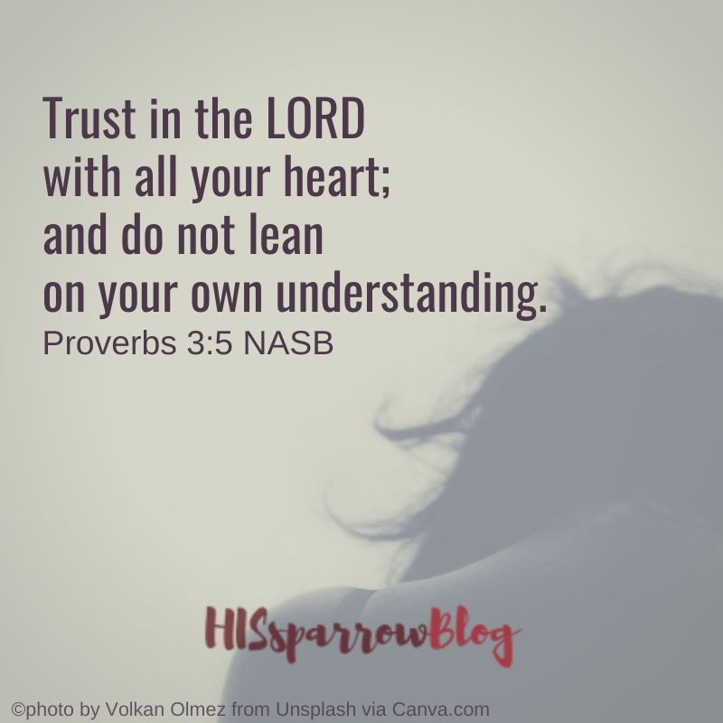 Trust in the LORD with all your heart; and do not lean on your own understanding. Proverbs 3:5 NASB