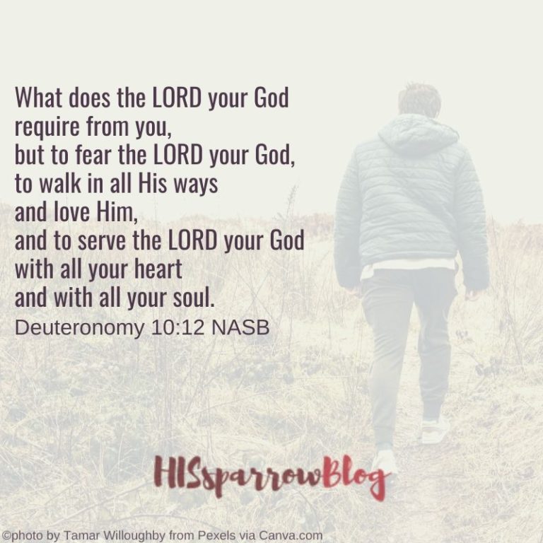 Insecurity: 7 Verses for When You Doubt Yourself – HISsparrowBlog