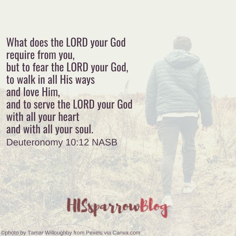 What does the LORD your God require from you, but to fear the LORD your God, to walk in all His ways and love Him, and to serve the LORD your God with all your heart and with all your soul. Deuteronomy 10:12 NASB | HISsparrowBlog