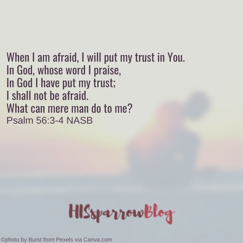 When I am afraid, I will put my trust in You. In God, whose word I praise, In God I have put my trust; I shall not be afraid. What can mere man do to me? Psalm 56:3-4 NASB | HISsparrowBlog