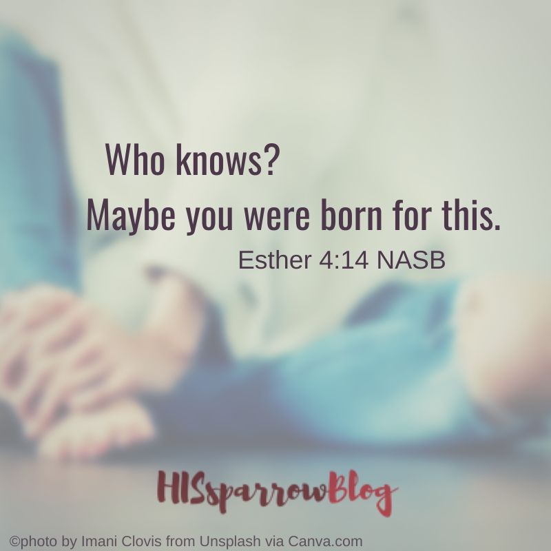 Who knows? Maybe you were born for this. Esther 4:14 NASB | HISsparrowBlog 