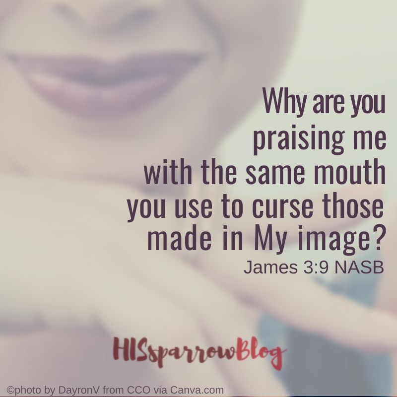 Why are you praising me with the same mouth you use to curse those made in My image? James 3:9 NASB