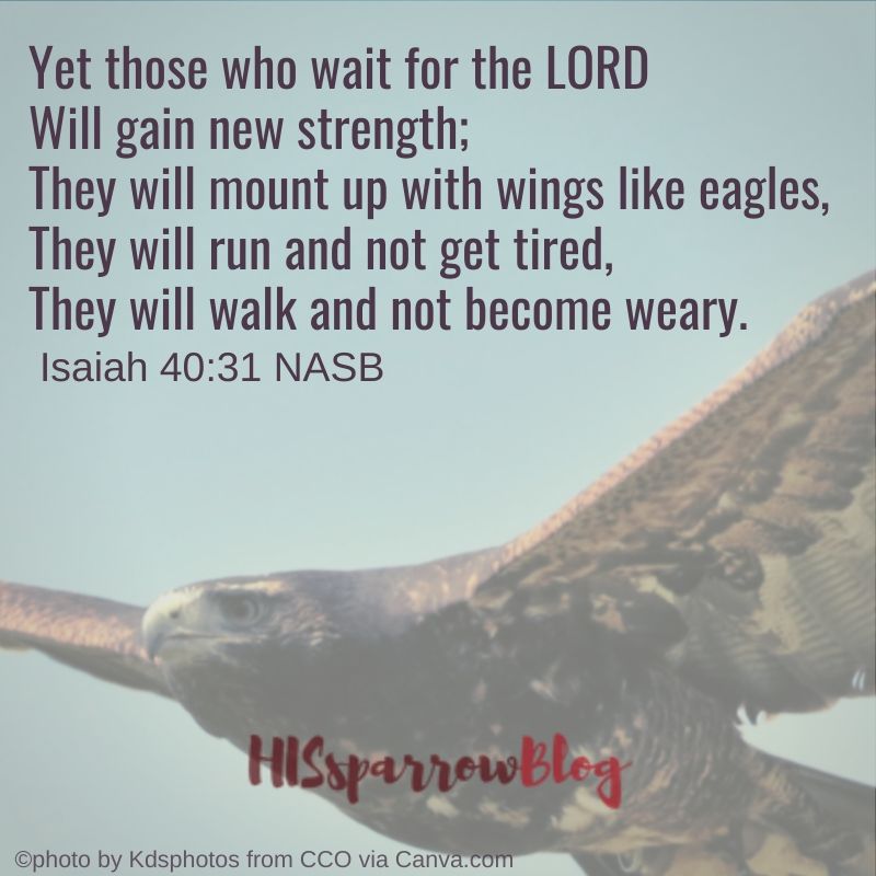 Yet those who wait for the LORD Will gain new strength; They will mount up with wings like eagles, They will run and not get tired, They will walk and not become weary. Isaiah 40_31 NASB