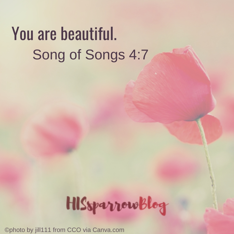 You are beautiful. Song of Songs 4:7 