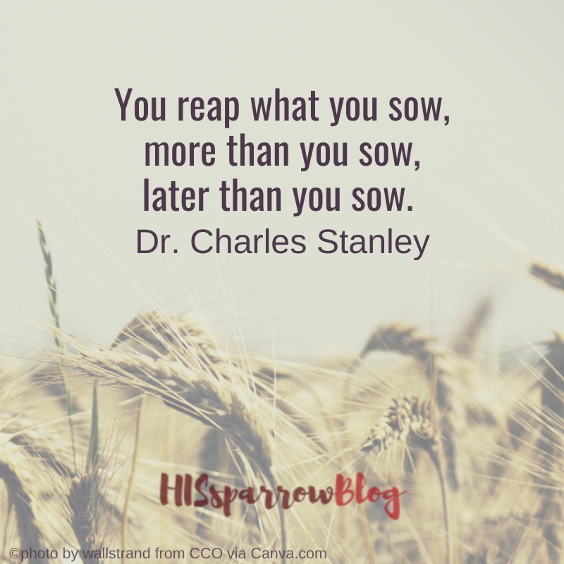 You reap what you sow, more than you sow, later than you sow. Dr. Charles Stanley