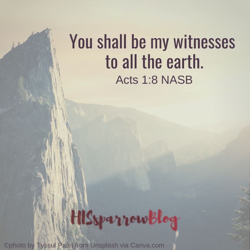 You shall be my witnesses to the ends of the earth. Acts 1:8 NASB