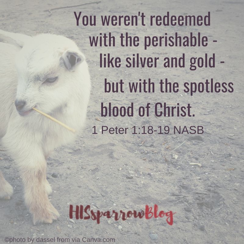You weren't redeemed with the perishable - like silver and gold - but with the spotless blood of Christ. 1 Peter 1:18-19 NASB