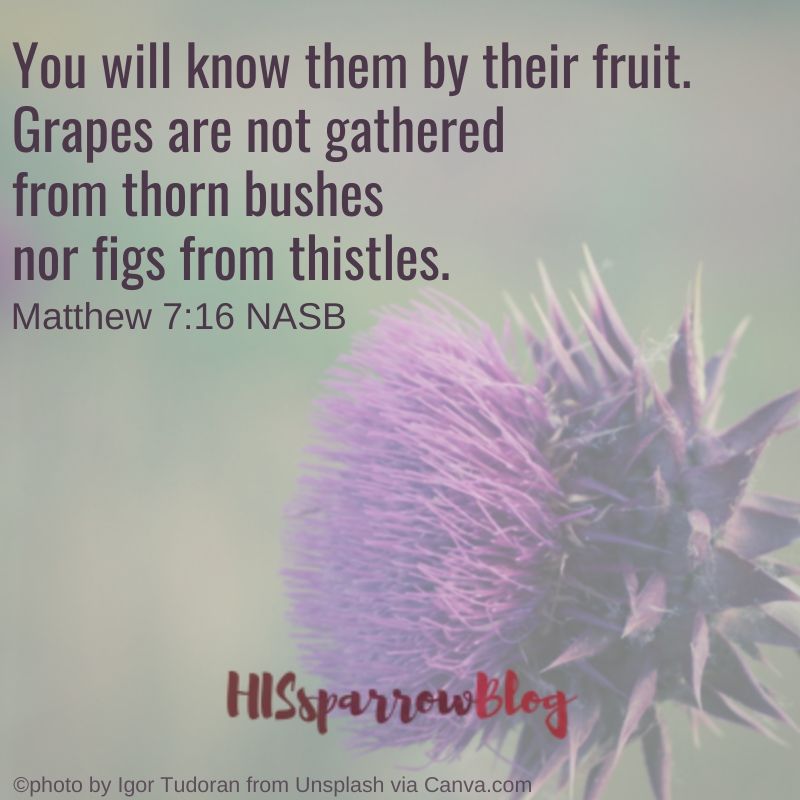 You will know them by their fruit. Grapes are not gathered from thorn bushes nor figs from thistles. Matthew 7:16 NASB