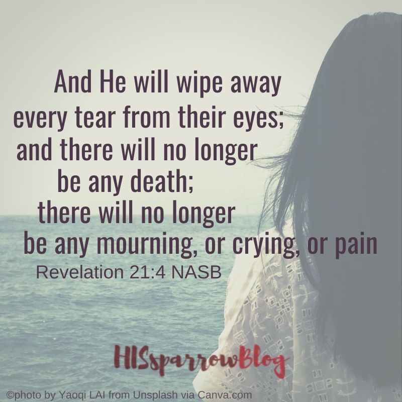 And He will wipe away every tear from their eyes; and there will no longer be any death; there will no longer be any mourning, or crying, or pain. Revelation 21:4 NASB