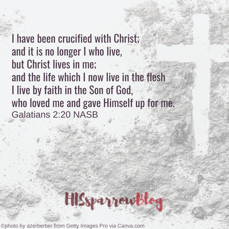 I have been crucified with Christ; and it is no longer I who live, but Christ lives in me... Colossians 3_17 NASB _ HISsparrowBlog