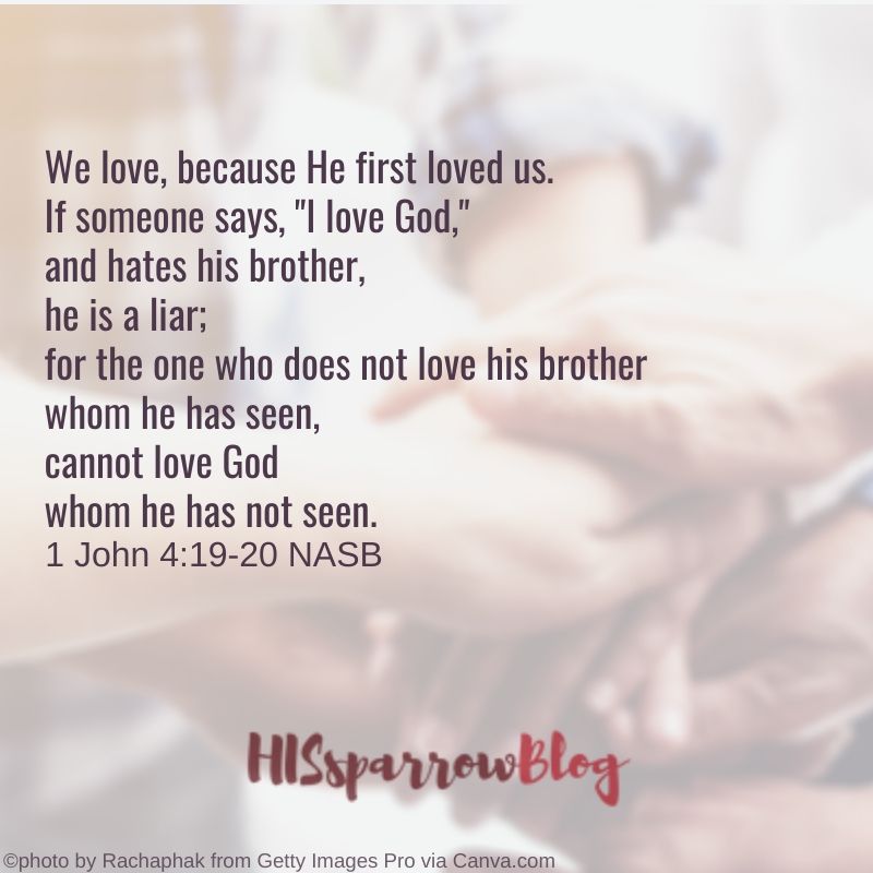 We love, because He first loved us. If someone says, "I love God," and hates his brother, he is a liar; for the one who does not love his brother whom he has seen, cannot love God whom he has not seen. 1 John 4:19-20 NASB | HISsparrowBlog