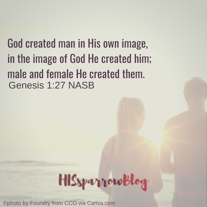 God created man in His own image, in the image of God He created him; male and female He created them. Genesis 1:27 | HISsparrowBlog