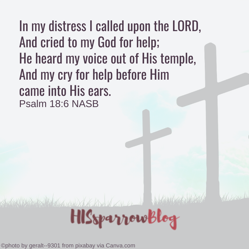 In my distress I called upon the LORD, And cried to my God for help; He heard my voice out of His temple, And my cry for help before Him came into His ears. Psalm 18:6 NASB | HISsparrowBlog