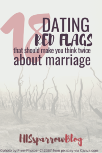 Read more about the article 18 Dating Red Flags That Should Make You Think Twice About Marriage