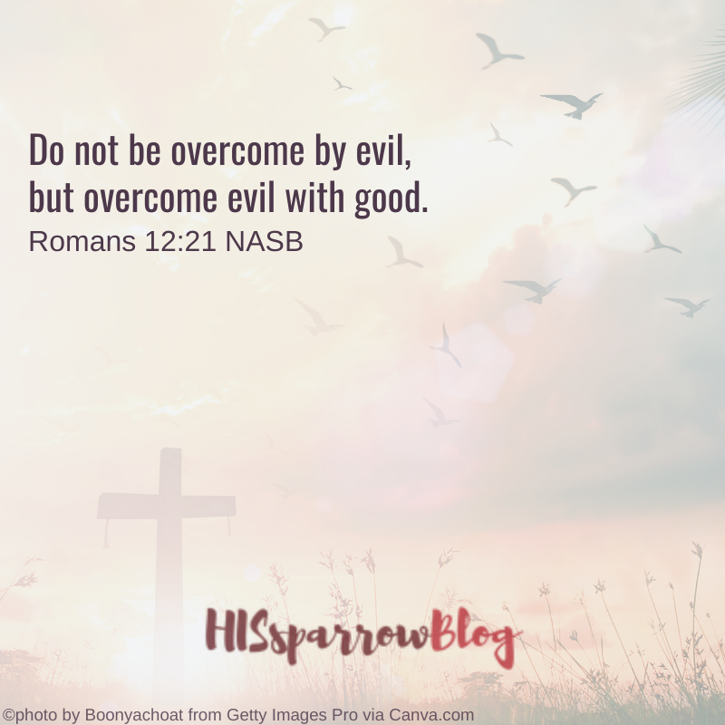 Do not be overcome by evil, but overcome evil with good. Romans 12:21 NASB | HISsparrowBlog