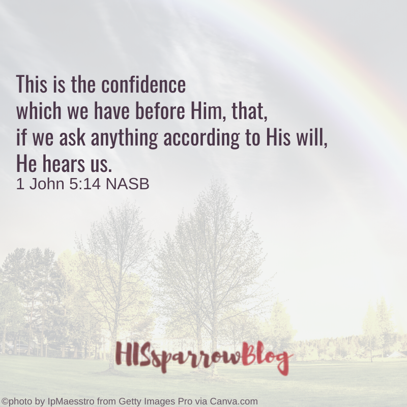 This is the confidence which we have before Him, that, if we ask anything according to His will, He hears us. 1 John 5:14 NASB | HISsparrowBlog