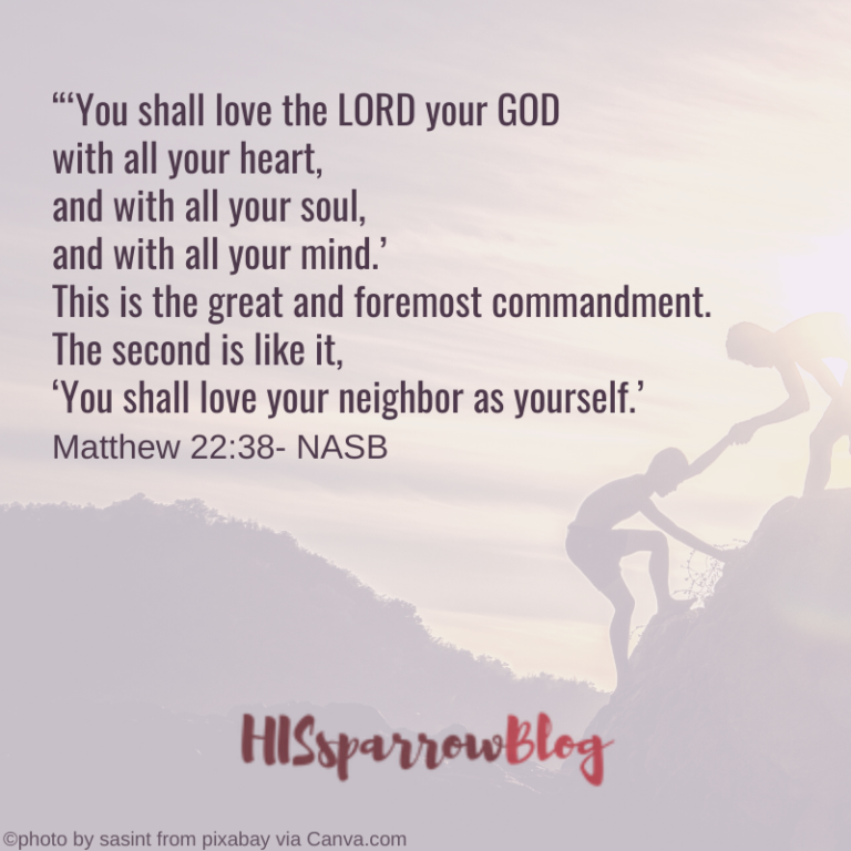 Identity In Christ: 3 Simple But Encouraging Steps - HISsparrowBlog