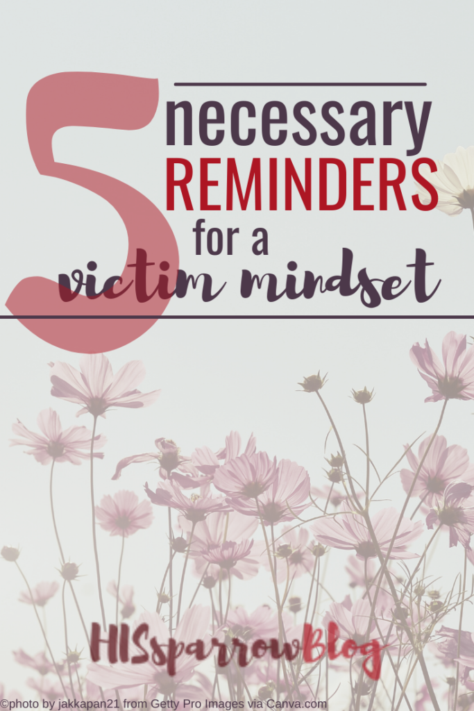 5 Necessary Reminders for a Victim Mindset | HISsparrowBlog
