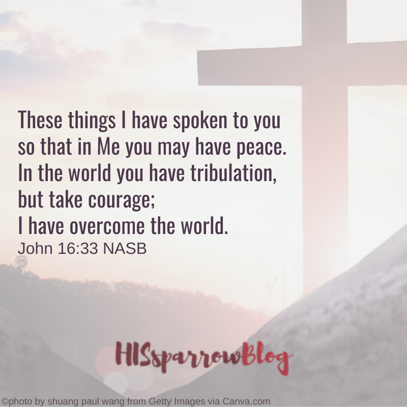 These things I have spoken to you so that in Me you may have peace. In the world you have tribulation, but take courage; I have overcome the world. John 16:33 NASB | HISsparrowBlog