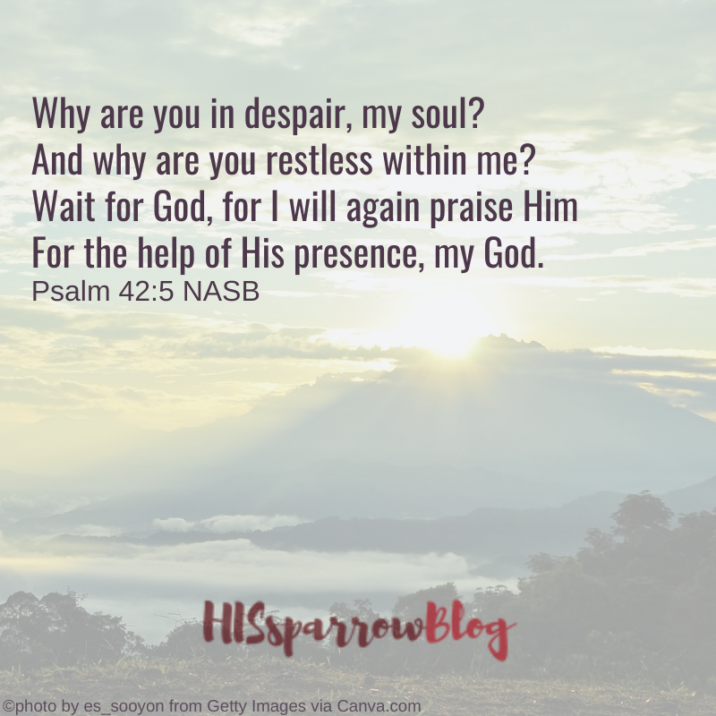 Why are you in despair, my soul? And why are you restless within me? Wait for God, for I will again praise Him For the help of His presence, my God. Psalm 42:5 NASB | HISsparrowBlog