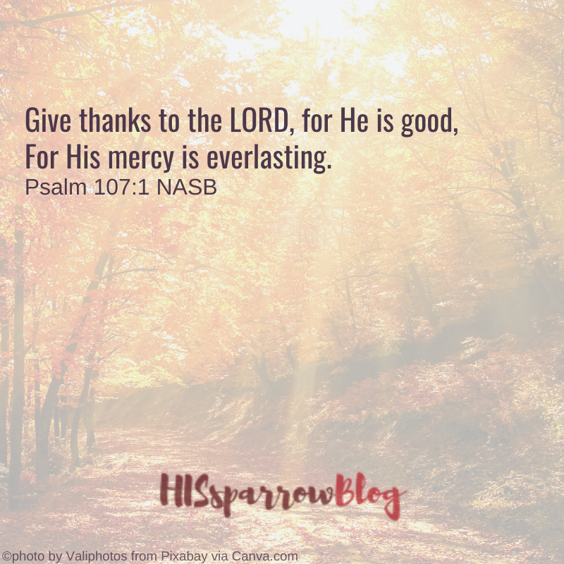 Give thanks to the LORD, for He is good, For His mercy is everlasting. Psalm 107:1 NASB