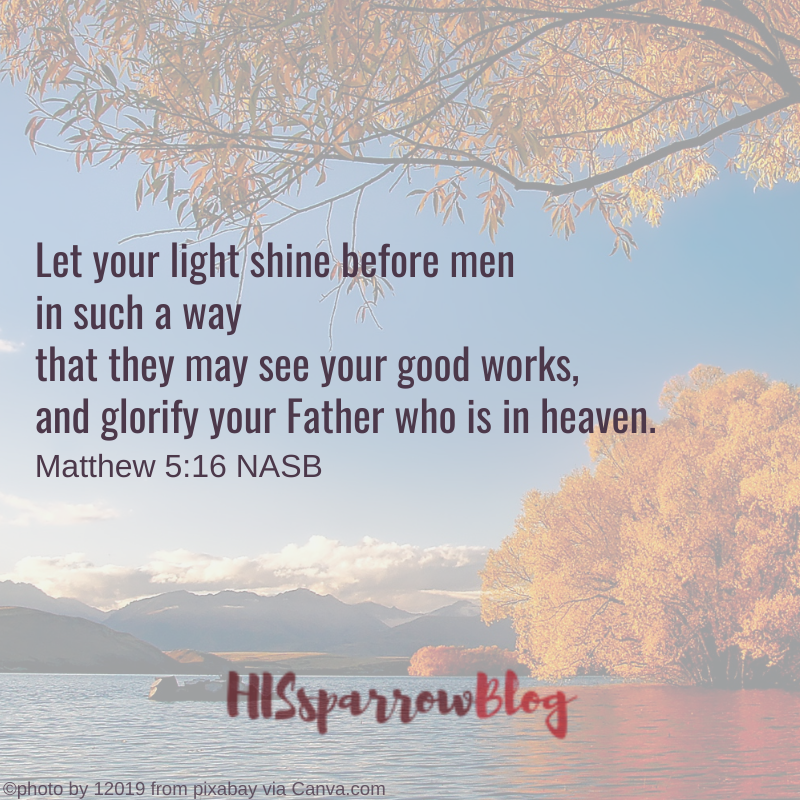 Let your light shine before men in such a way that they may see your good works, and glorify your Father who is in heaven. Matthew 5:16 NASB | HISsparrowBlog