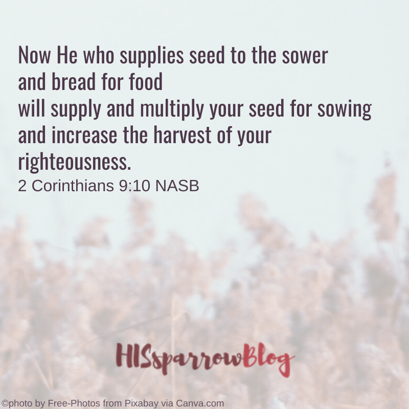 Now He who supplies seed to the sower and bread for food will supply and multiply your seed for sowing and increase the harvest of your righteousness. 2 Corinthians 9:10 NASB | HISsparrowBlog