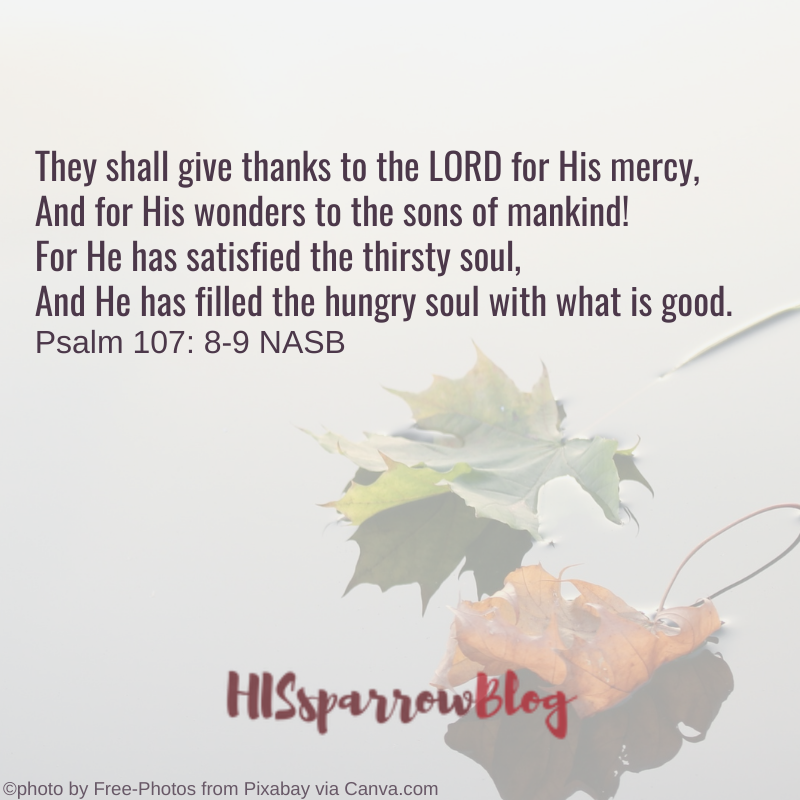 verse - They shall give thanks to the LORD for His mercy, And for His wonders to the sons of mankind! For He has satisfied the thirsty soul, And He has filled the hungry soul with what is good. Psalm 107: 8-9 NASB | HISsparrowBlog