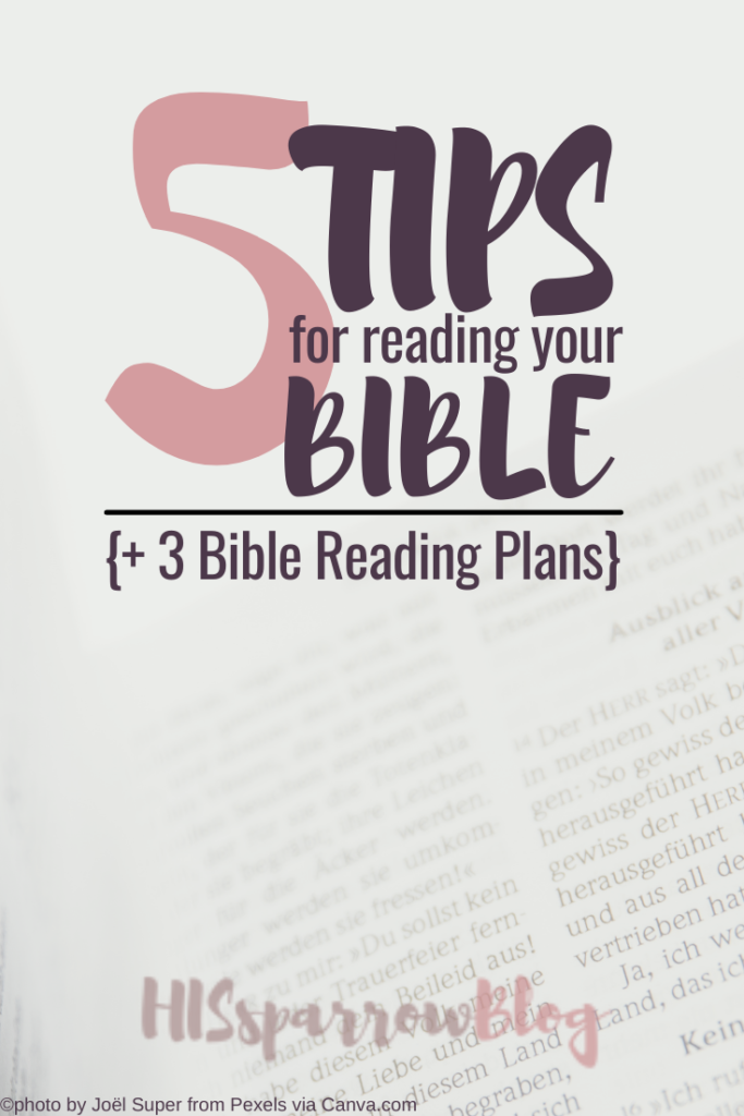 5 Simple Tips for Reading Your Bible {+ 3 Bible Reading Plans} | HISsparrowBlog