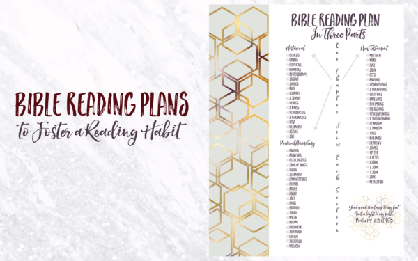 Fostering a Reading Habit Bible Reading Plans | HISsparrowBlog