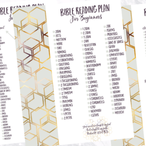 Fostering a Reading Habit Bible Reading Plan