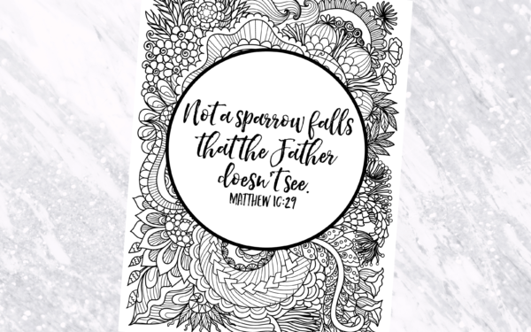 Not A Sparrow Falls Scripture Coloring Page