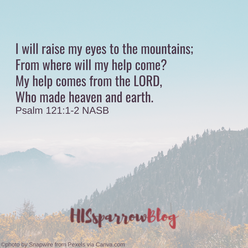 I will raise my eyes to the mountains; From where will my help come? My help comes from the LORD, Who made heaven and earth. Psalm 121:1-2 NASB | HISsparrowBlog