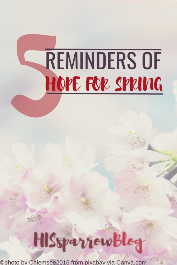 5 Scripture Reminders of Hope for Spring | HISsparrowBlog