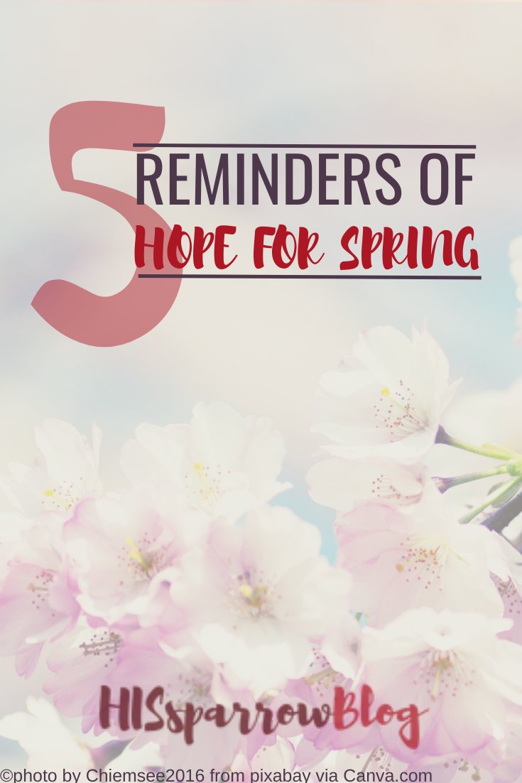 Read more about the article 5 Scripture Reminders of Hope for Spring