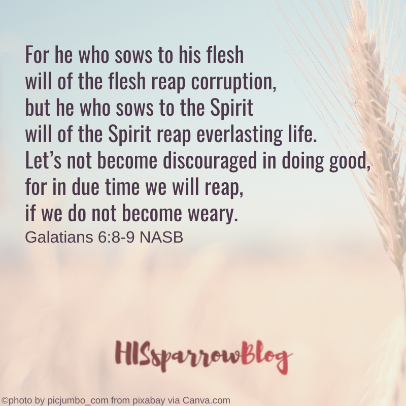 For he who sows to his flesh will of the flesh reap corruption, but he who sows to the Spirit will of the Spirit reap everlasting life. Let’s not become discouraged in doing good, for in due time we will reap, if we do not become weary. Galatians 6:8-9 NASB | HISsparrowBlog