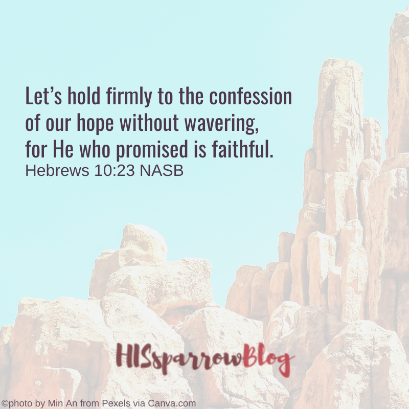 Let’s hold firmly to the confession of our hope without wavering, for He who promised is faithful. Hebrews 10:23 NASB | HISsparrowBlog