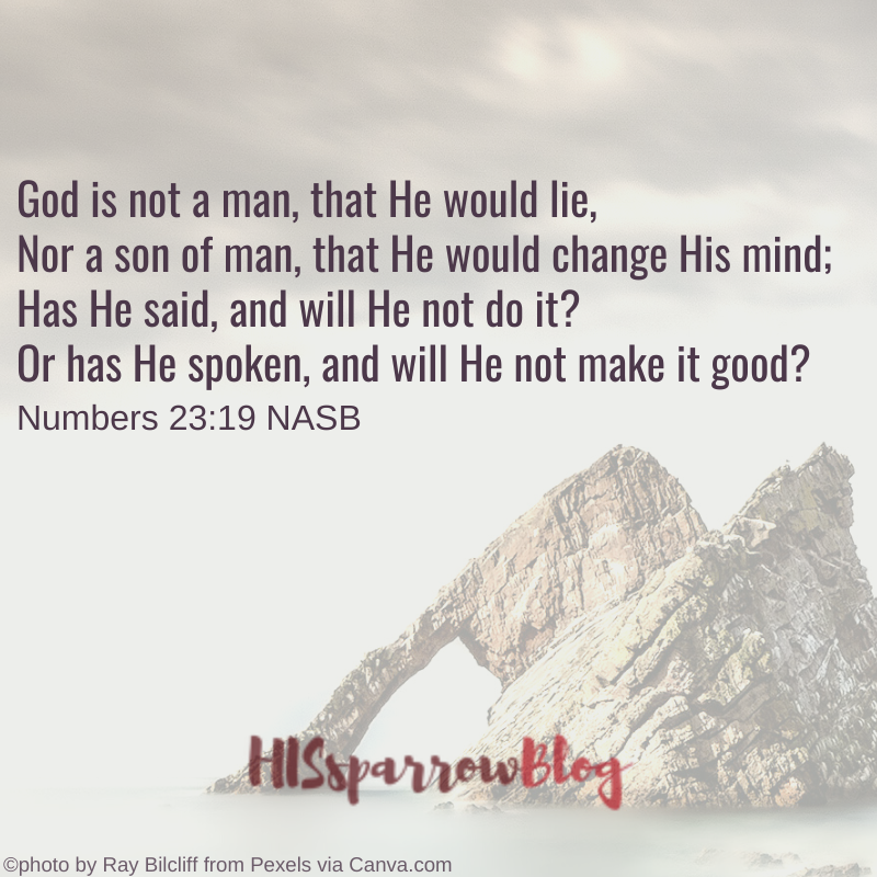 God is not a man, that He would lie, Nor a son of man, that He would change His mind; Has He said, and will He not do it? Or has He spoken, and will He not make it good? Numbers 23:19 NASB | HISsparrowBlog