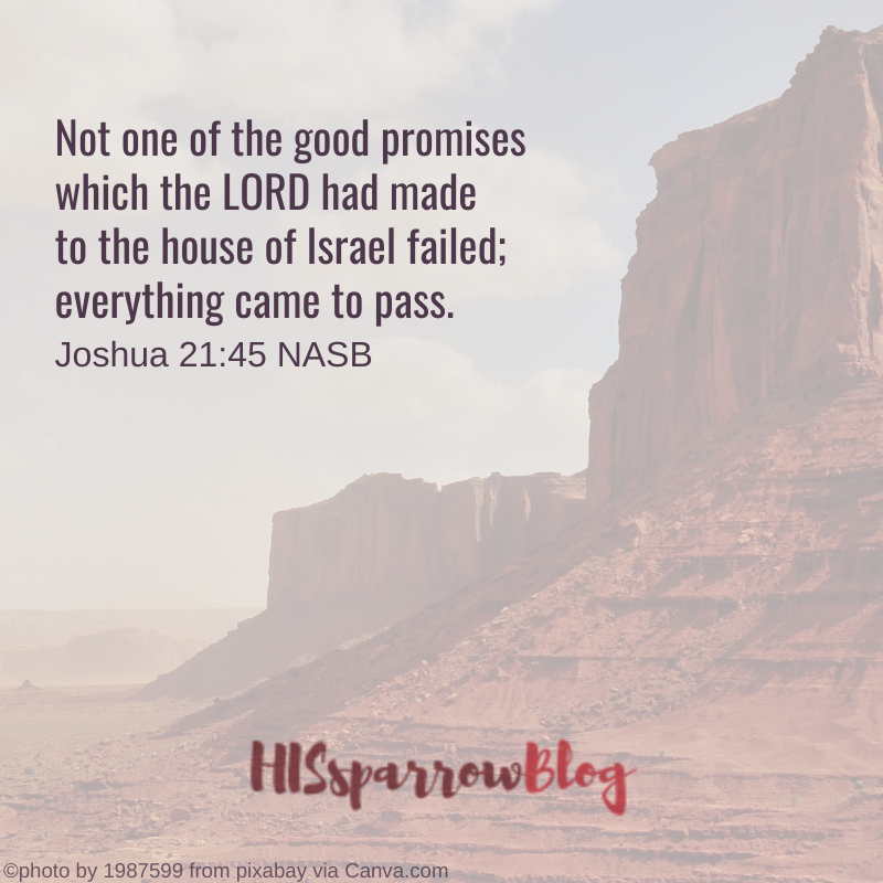 Not one of the good promises which the LORD had made to the house of Israel failed; everything came to pass. Joshua 21:45 NASB | HISsparrowBlog