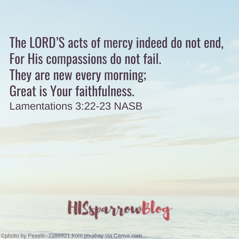 The LORD’S acts of mercy indeed do not end, For His compassions do not fail. They are new every morning; Great is Your faithfulness. Lamentations 3:22-23 NASB | HISsparrowBlog