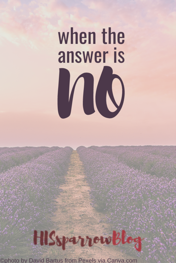 When the Answer is No | HISsparrowBlog