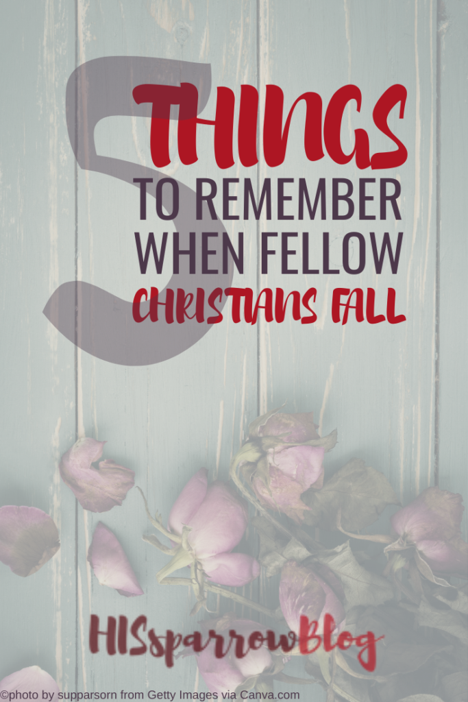 5 Things to Remember When Fellow Christians Fall | HISsparrowBlog